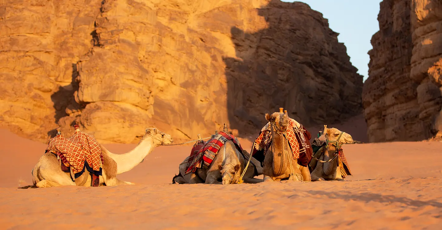 akouasvoyages_voyages_travel_Voyage National – Algérie